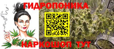 Альфа ПВП Аргун